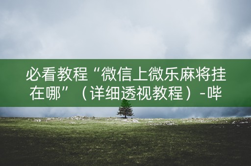 必看教程“微信上微乐麻将挂在哪”（详细透视教程）-哔哩哔哩