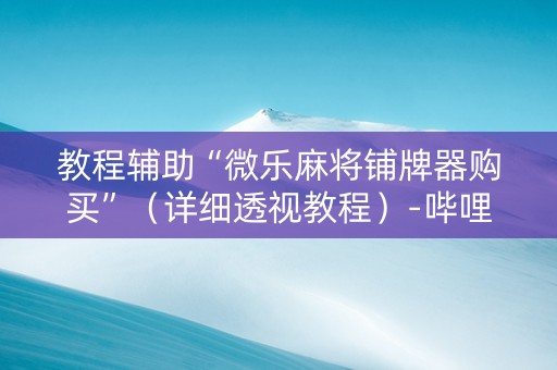 教程辅助“微乐麻将铺牌器购买”（详细透视教程）-哔哩哔哩