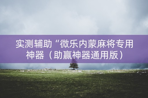 实测辅助“微乐内蒙麻将专用神器（助赢神器通用版）