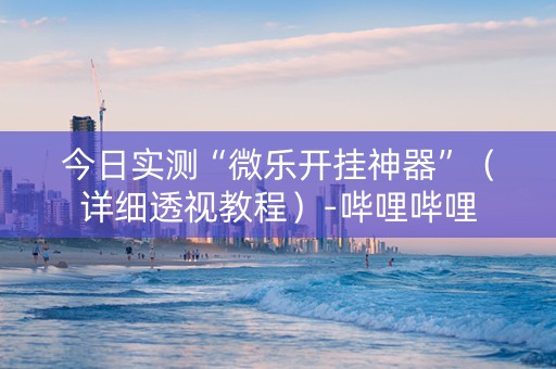 今日实测“微乐开挂神器”（详细透视教程）-哔哩哔哩