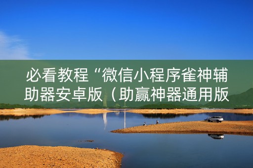 必看教程“微信小程序雀神辅助器安卓版（助赢神器通用版）