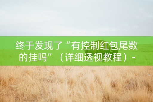 终于发现了“有控制红包尾数的挂吗”（详细透视教程）-哔哩哔哩