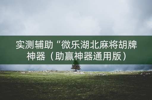 实测辅助“微乐湖北麻将胡牌神器（助赢神器通用版）