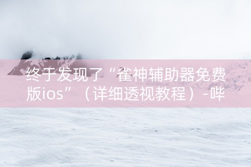 终于发现了“雀神辅助器免费版ios”（详细透视教程）-哔哩哔哩