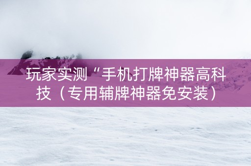 玩家实测“手机打牌神器高科技（专用辅牌神器免安装）