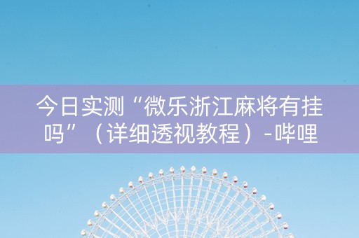 今日实测“微乐浙江麻将有挂吗”（详细透视教程）-哔哩哔哩