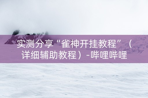 实测分享“雀神开挂教程”（详细辅助教程）-哔哩哔哩
