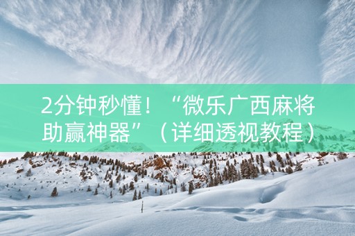 2分钟秒懂！“微乐广西麻将助赢神器”（详细透视教程）-哔哩哔哩