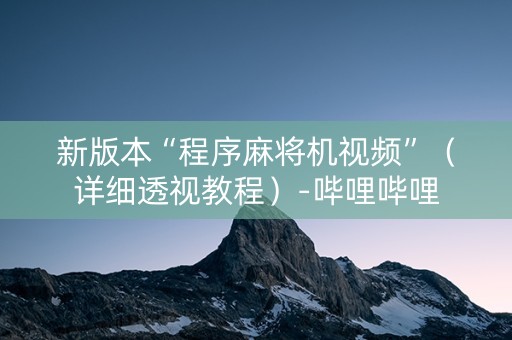 新版本“程序麻将机视频”（详细透视教程）-哔哩哔哩