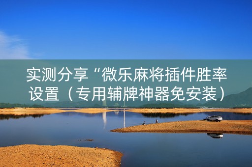 实测分享“微乐麻将插件胜率设置（专用辅牌神器免安装）