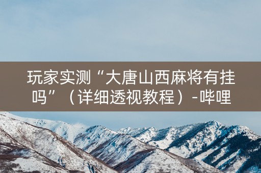 玩家实测“大唐山西麻将有挂吗”（详细透视教程）-哔哩哔哩