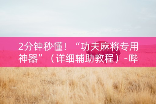 2分钟秒懂！“功夫麻将专用神器”（详细辅助教程）-哔哩哔哩