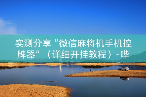 实测分享“微信麻将机手机控牌器”（详细开挂教程）-哔哩哔哩
