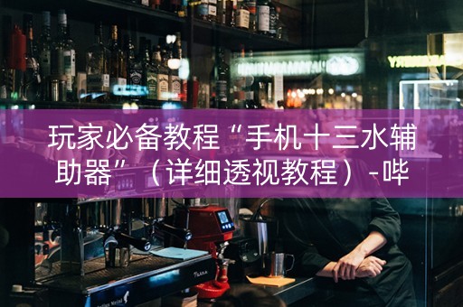 玩家必备教程“手机十三水辅助器”（详细透视教程）-哔哩哔哩