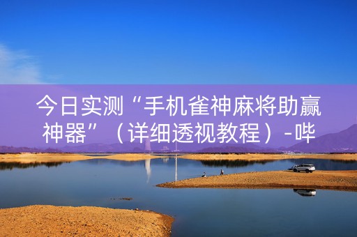 今日实测“手机雀神麻将助赢神器”（详细透视教程）-哔哩哔哩