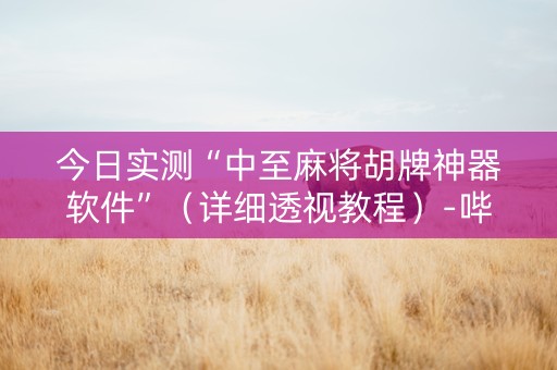 今日实测“中至麻将胡牌神器软件”（详细透视教程）-哔哩哔哩