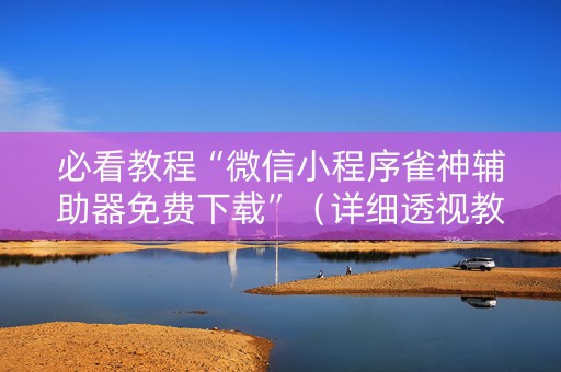 必看教程“微信小程序雀神辅助器免费下载”（详细透视教程）-哔哩哔哩