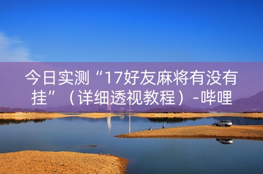 今日实测“17好友麻将有没有挂”（详细透视教程）-哔哩哔哩