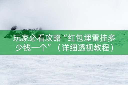 玩家必看攻略“红包埋雷挂多少钱一个”（详细透视教程）-哔哩哔哩