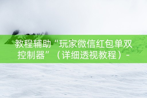 教程辅助“玩家微信红包单双控制器”（详细透视教程）-哔哩哔哩