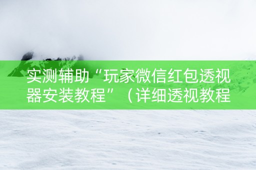 实测辅助“玩家微信红包透视器安装教程”（详细透视教程）-哔哩哔哩