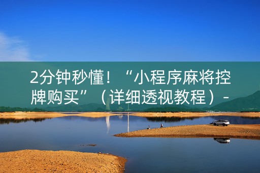 2分钟秒懂！“小程序麻将控牌购买”（详细透视教程）-哔哩哔哩