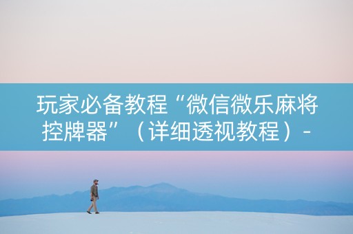 玩家必备教程“微信微乐麻将控牌器”（详细透视教程）-哔哩哔哩