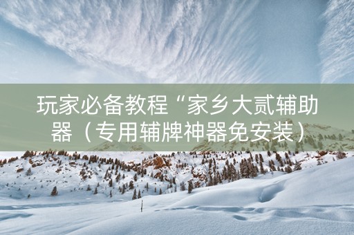 玩家必备教程“家乡大贰辅助器（专用辅牌神器免安装）