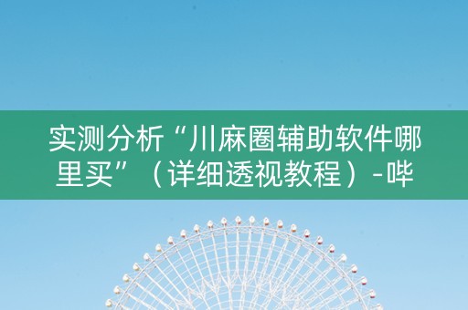 实测分析“川麻圈辅助软件哪里买”（详细透视教程）-哔哩哔哩