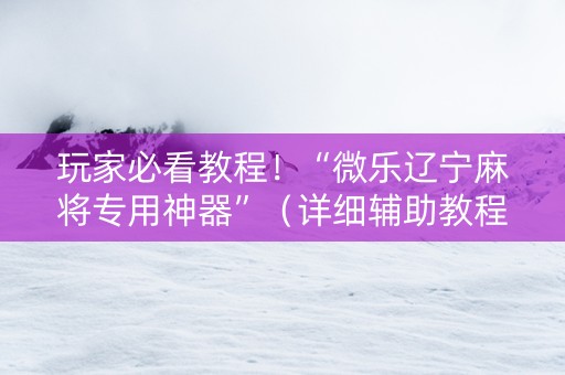 玩家必看教程！“微乐辽宁麻将专用神器”（详细辅助教程）-哔哩哔哩