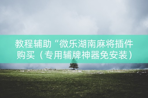 教程辅助“微乐湖南麻将插件购买（专用辅牌神器免安装）