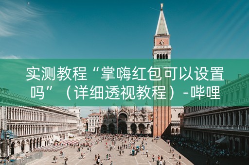 实测教程“掌嗨红包可以设置吗”（详细透视教程）-哔哩哔哩