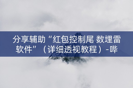 分享辅助“红包控制尾 数埋雷软件”（详细透视教程）-哔哩哔哩