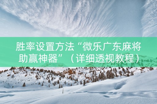胜率设置方法“微乐广东麻将助赢神器”（详细透视教程）-哔哩哔哩