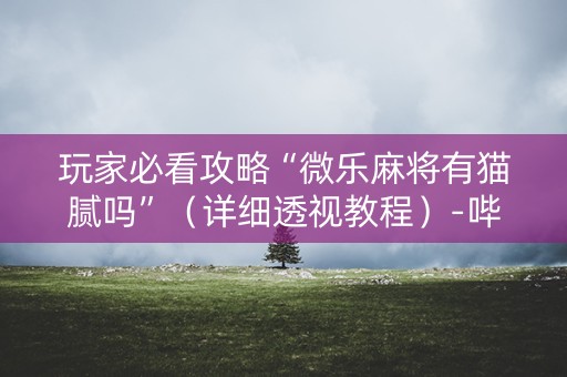 玩家必看攻略“微乐麻将有猫腻吗”（详细透视教程）-哔哩哔哩