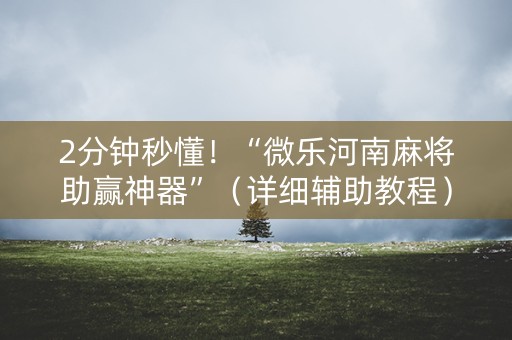 2分钟秒懂！“微乐河南麻将助赢神器”（详细辅助教程）-哔哩哔哩