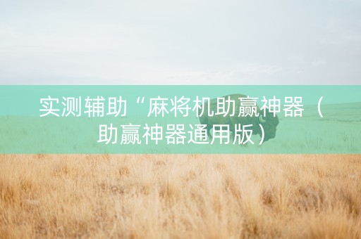 实测辅助“麻将机助赢神器（助赢神器通用版）