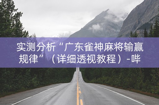 实测分析“广东雀神麻将输赢规律”（详细透视教程）-哔哩哔哩