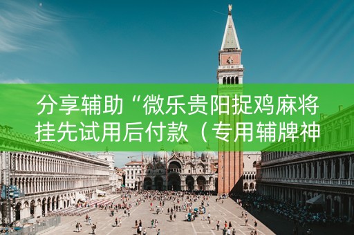 分享辅助“微乐贵阳捉鸡麻将挂先试用后付款（专用辅牌神器免安装）
