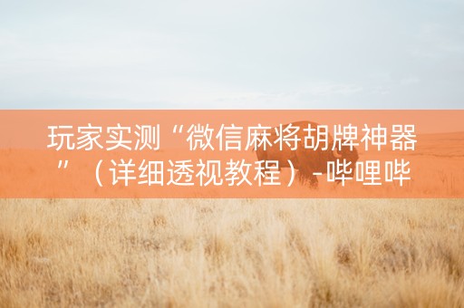 玩家实测“微信麻将胡牌神器”（详细透视教程）-哔哩哔哩
