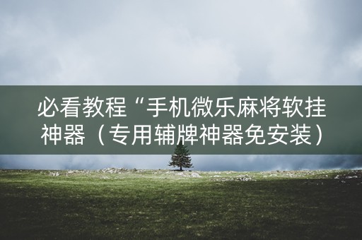 必看教程“手机微乐麻将软挂神器（专用辅牌神器免安装）