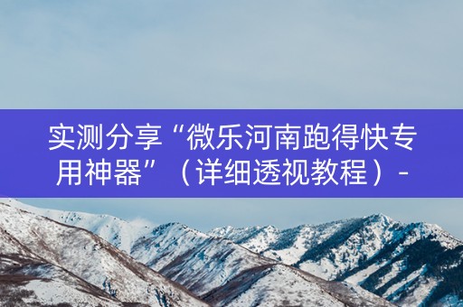 实测分享“微乐河南跑得快专用神器”（详细透视教程）-哔哩哔哩