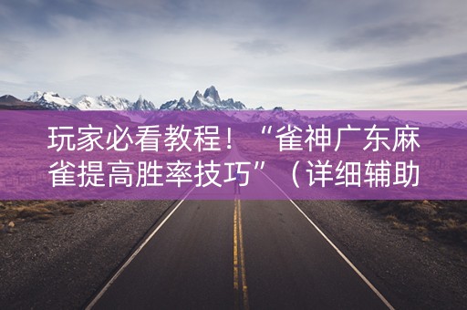 玩家必看教程！“雀神广东麻雀提高胜率技巧”（详细辅助教程）-哔哩哔哩