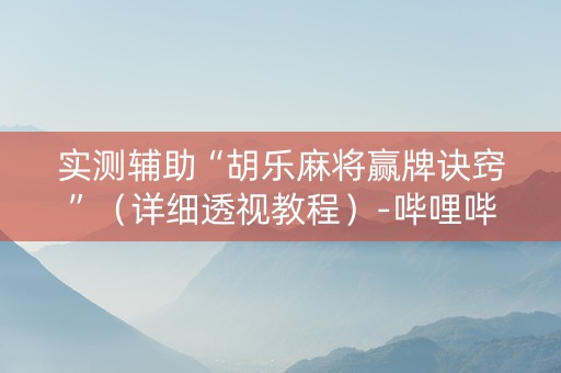 实测辅助“胡乐麻将赢牌诀窍”（详细透视教程）-哔哩哔哩