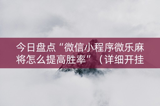 今日盘点“微信小程序微乐麻将怎么提高胜率”（详细开挂教程）-哔哩哔哩