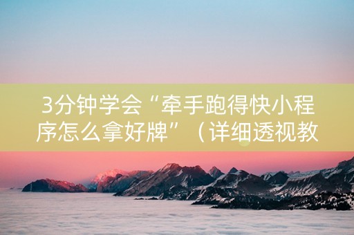 3分钟学会“牵手跑得快小程序怎么拿好牌”（详细透视教程）-哔哩哔哩