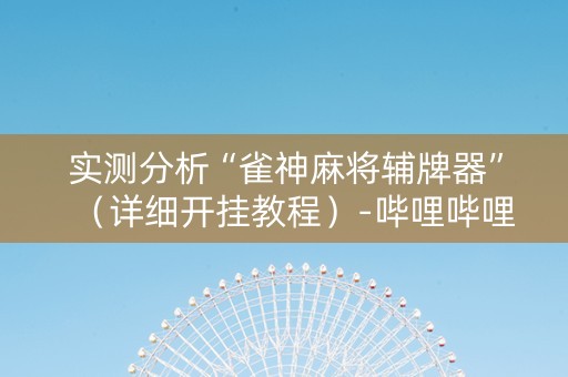 实测分析“雀神麻将辅牌器”（详细开挂教程）-哔哩哔哩