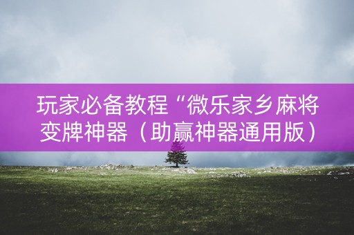 玩家必备教程“微乐家乡麻将变牌神器（助赢神器通用版）
