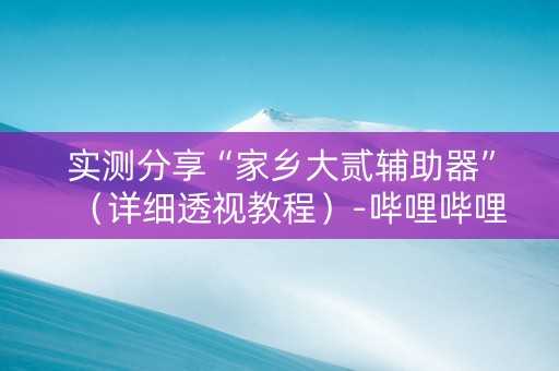 实测分享“家乡大贰辅助器”（详细透视教程）-哔哩哔哩