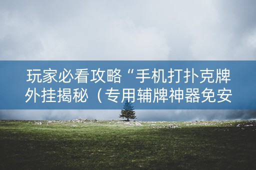 玩家必看攻略“手机打扑克牌外挂揭秘（专用辅牌神器免安装）